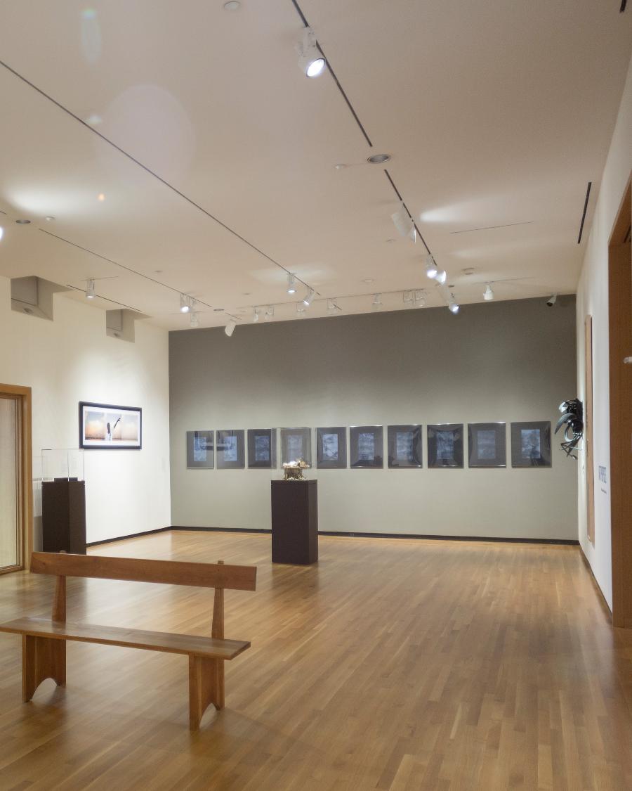 Gallery Conversation: "Tracing History, Picturing the Nation"